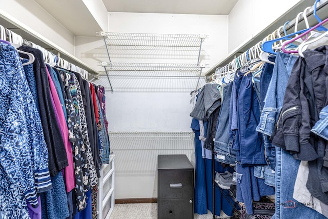 spacious closet featuring carpet