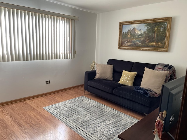 living room featuring hardwood / wood-style flooring