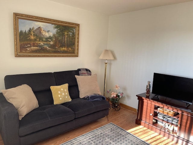 living room with wood-type flooring