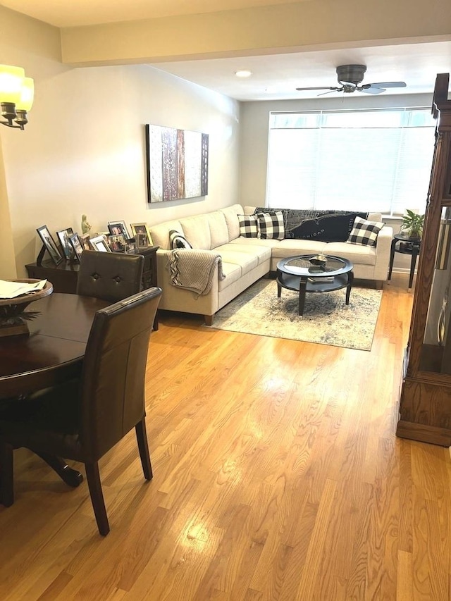 living room with ceiling fan and light hardwood / wood-style flooring