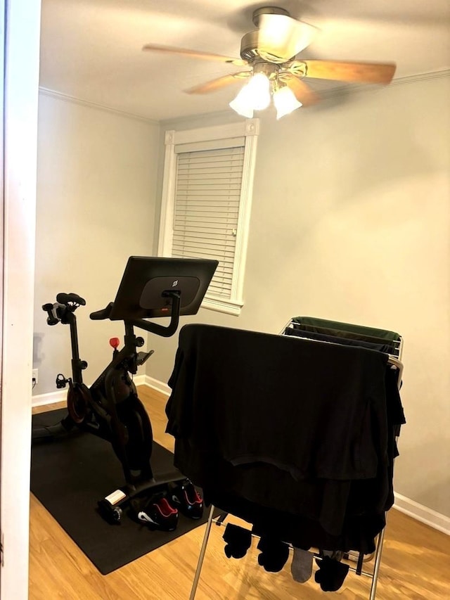 workout area featuring hardwood / wood-style floors and ceiling fan