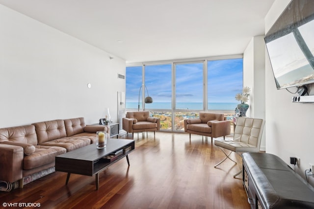 living room with a wall of windows and wood-type flooring