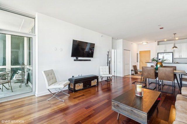 living room with wood-type flooring