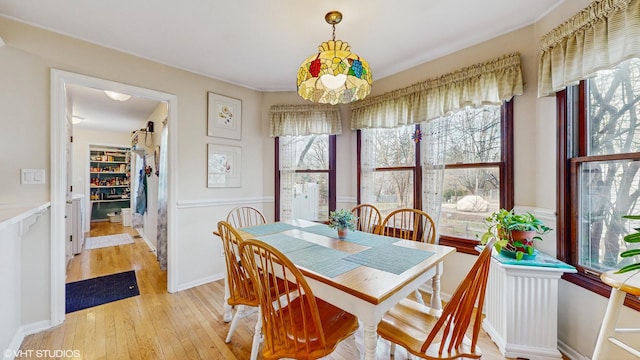 dining area with a wealth of natural light and light hardwood / wood-style flooring