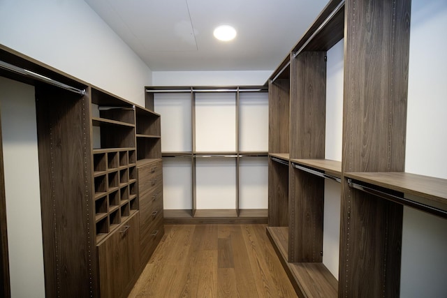 spacious closet with light wood-type flooring