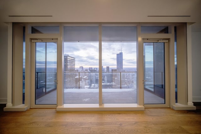 entryway featuring hardwood / wood-style flooring