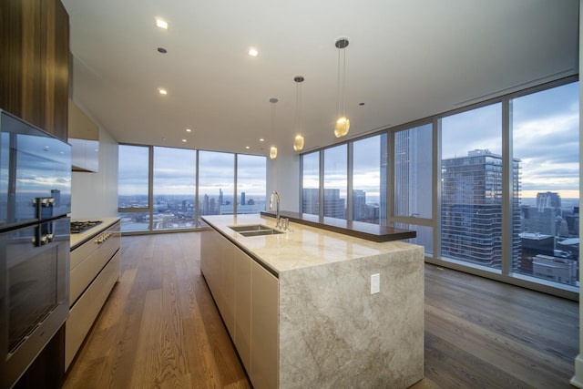 kitchen featuring a large island, sink, stainless steel appliances, hardwood / wood-style floors, and white cabinets