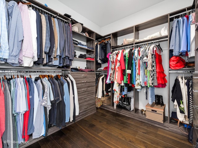 walk in closet featuring hardwood / wood-style flooring