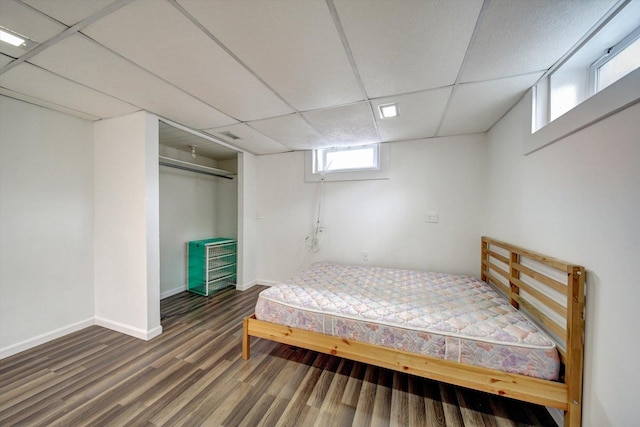 bedroom with a closet, a drop ceiling, and dark wood-type flooring