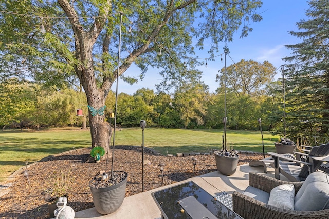 view of yard featuring a patio