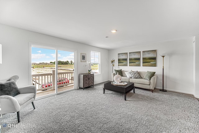 living room with carpet floors