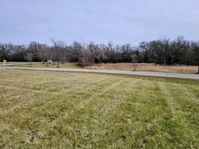 9685 Stonecastle Ln, Lakewood, IL 60014 - photo 3