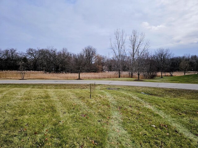 9685 Stonecastle Ln, Lakewood, IL 60014 - photo 4