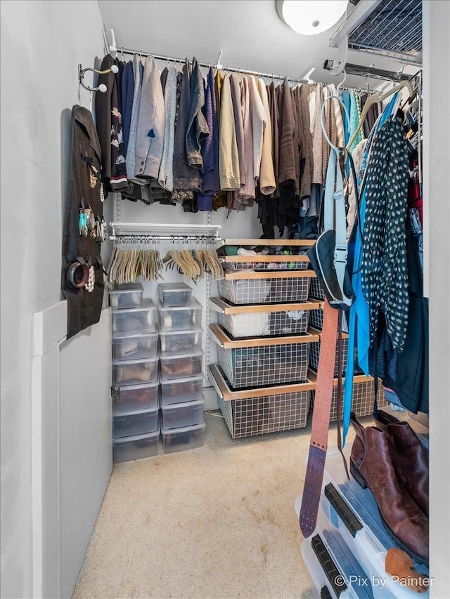 view of spacious closet