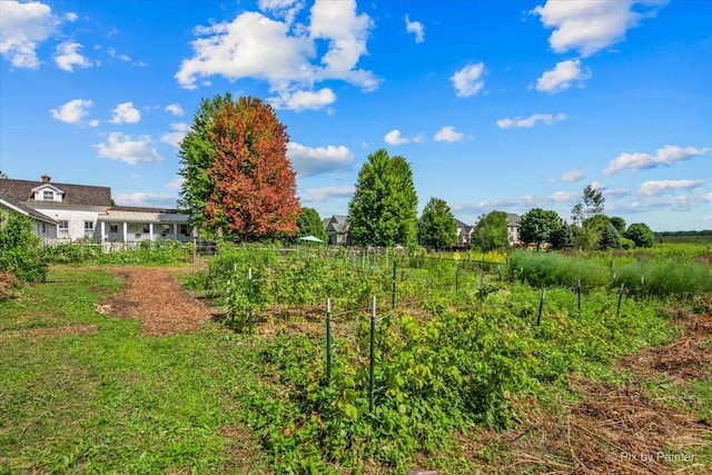 view of yard featuring a rural view