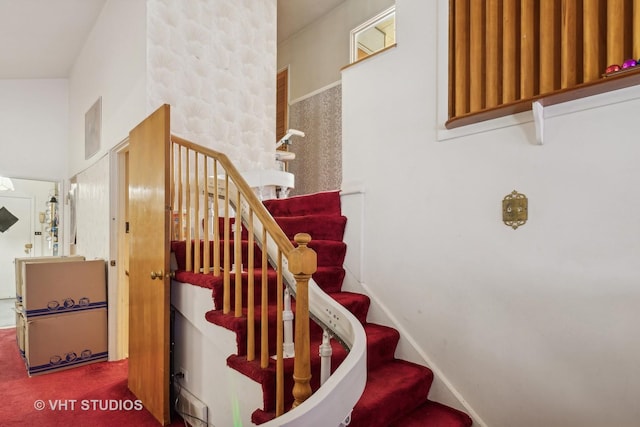 staircase featuring carpet floors