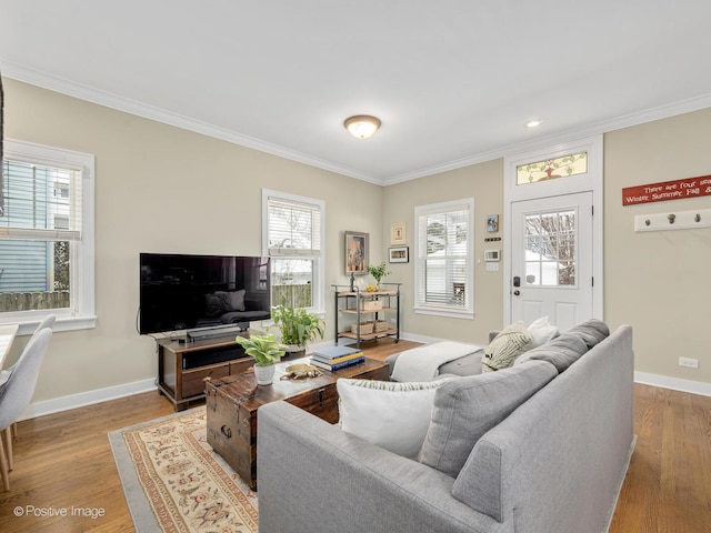 living room with light wood-type flooring and crown molding