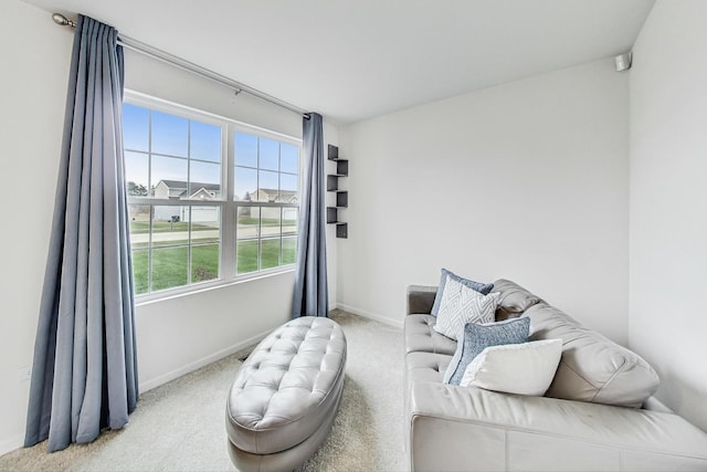 sitting room with light colored carpet and a wealth of natural light