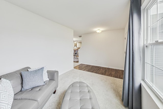 living room featuring wood-type flooring