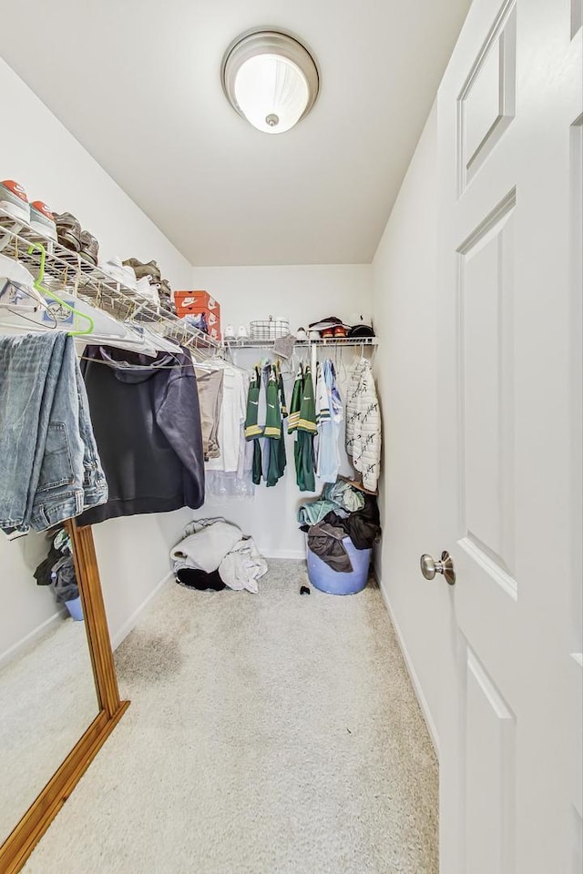 walk in closet featuring carpet flooring