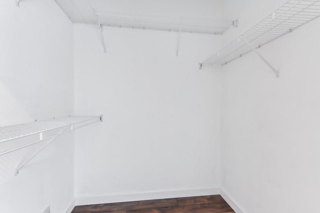 spacious closet featuring dark wood-type flooring