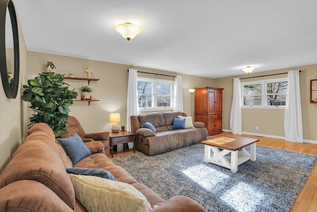 living room with a textured ceiling and hardwood / wood-style flooring