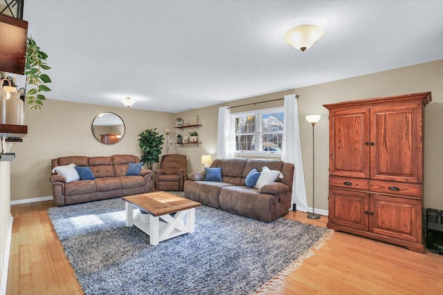 living room featuring light hardwood / wood-style flooring