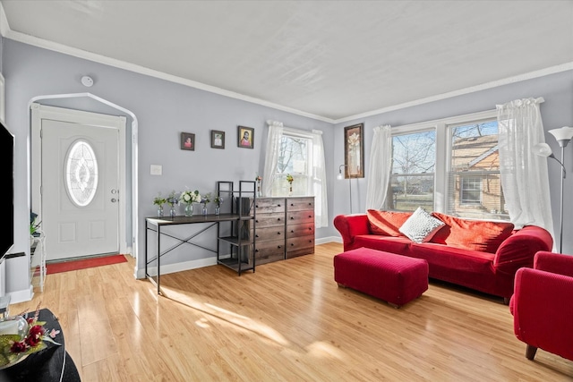 living room featuring light hardwood / wood-style floors and crown molding