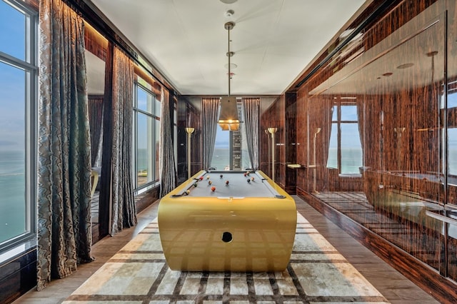 recreation room featuring light hardwood / wood-style floors and a water view