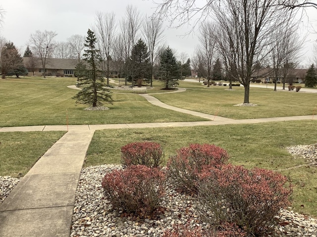 view of home's community featuring a yard