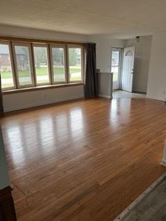 empty room with wood-type flooring