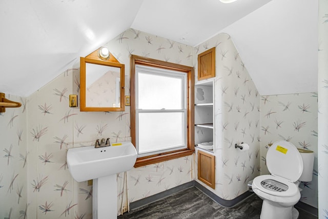 bathroom with toilet, wood-type flooring, sink, and vaulted ceiling