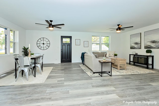 living room with light hardwood / wood-style floors and ceiling fan