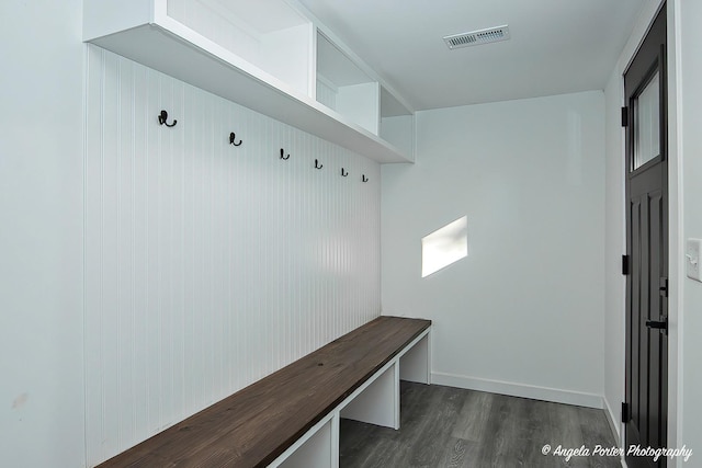 mudroom featuring dark hardwood / wood-style floors