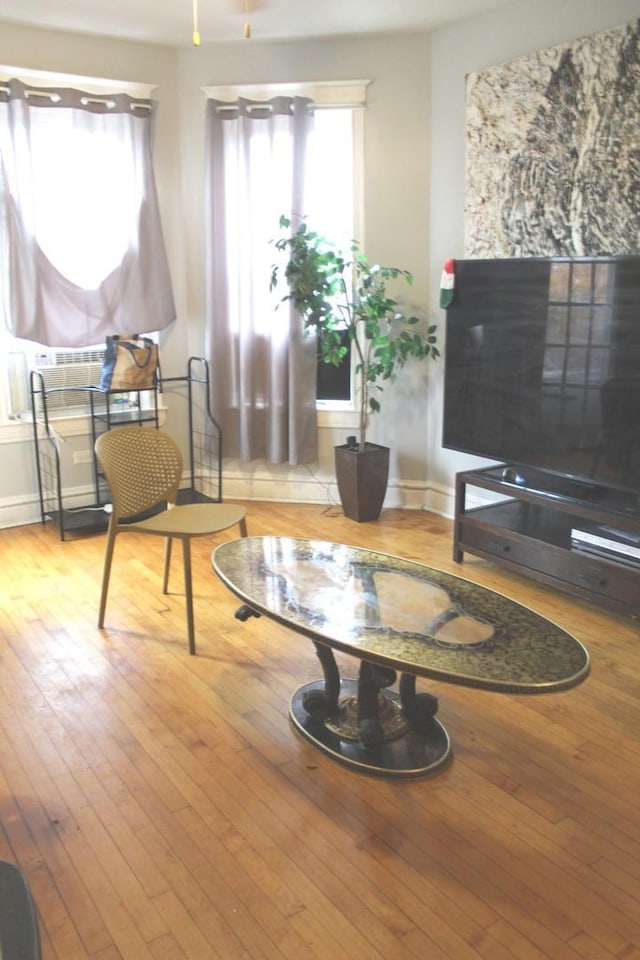 living area featuring light hardwood / wood-style floors