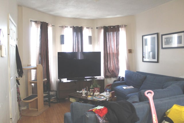 living room with hardwood / wood-style flooring and a textured ceiling