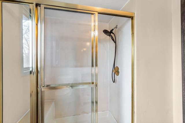 bathroom featuring a shower with door