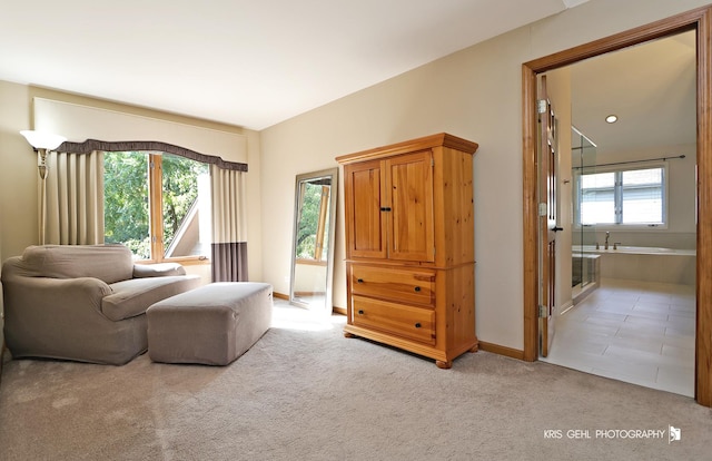 sitting room featuring a wealth of natural light and light carpet