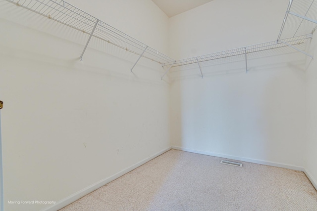 spacious closet featuring carpet flooring