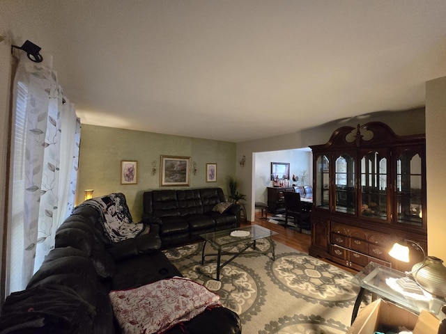 living room featuring hardwood / wood-style floors