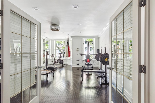 exercise room with crown molding and dark hardwood / wood-style flooring