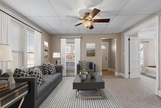 carpeted living room featuring a drop ceiling and ceiling fan