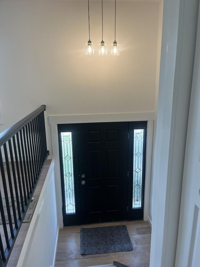 foyer featuring wood-type flooring