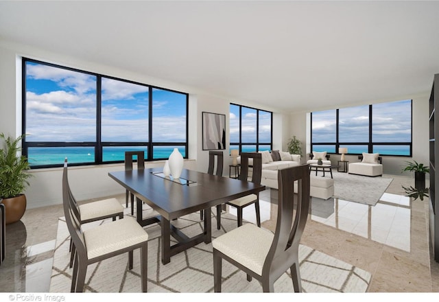 dining space featuring plenty of natural light