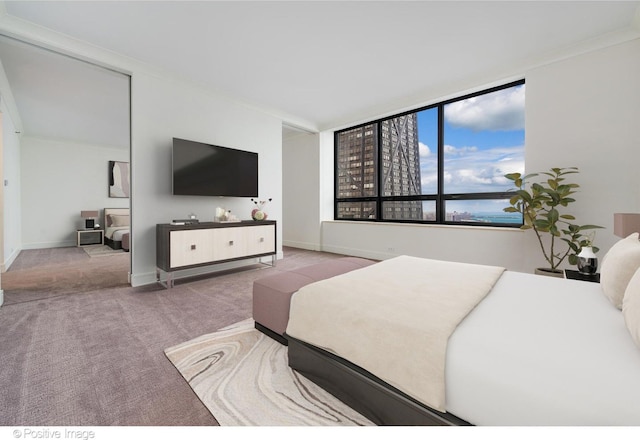 bedroom featuring carpet flooring and baseboards