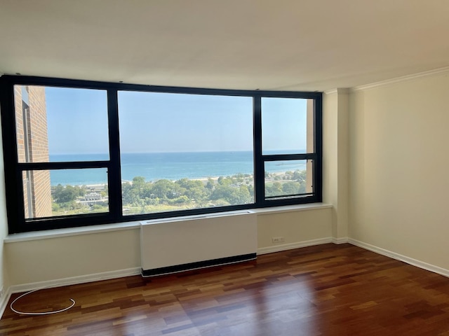 unfurnished room featuring radiator, hardwood / wood-style flooring, and plenty of natural light