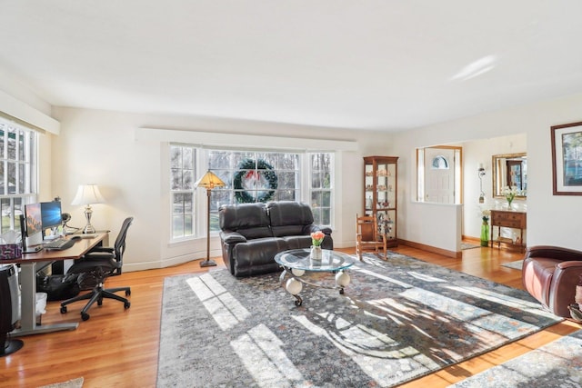 living room with light wood-type flooring