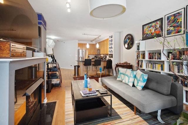 living room featuring rail lighting and light hardwood / wood-style floors