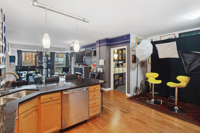 kitchen with dishwasher, rail lighting, hanging light fixtures, sink, and light hardwood / wood-style floors