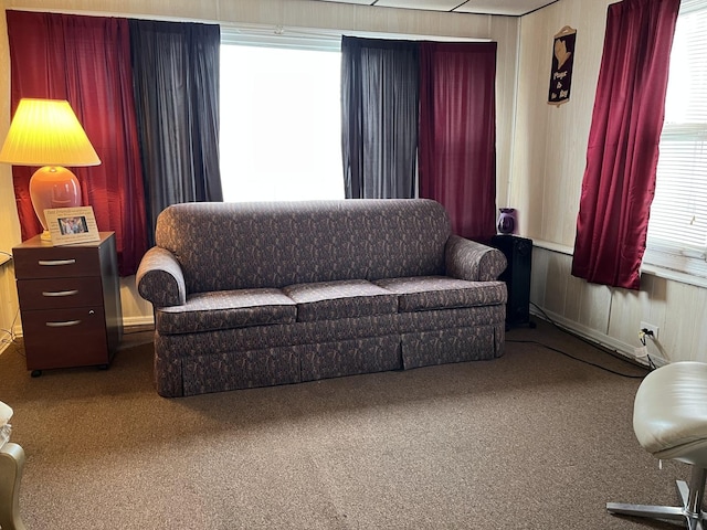 view of carpeted living room